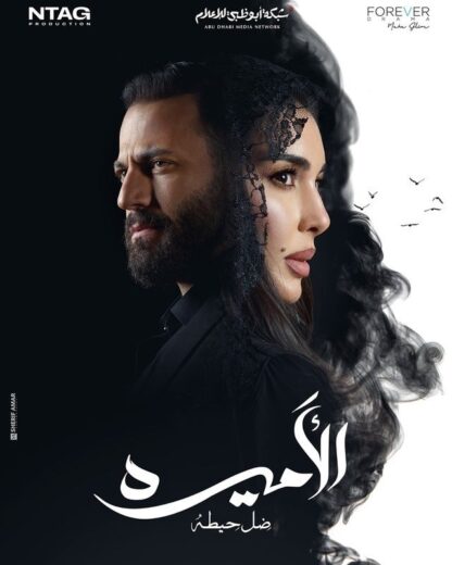 مسلسل الاميرة ضل حيطة الحلقة 9 التاسعة